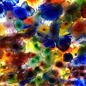 Meet your Posher, Annette